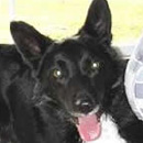 Tug was adopted in May, 2006